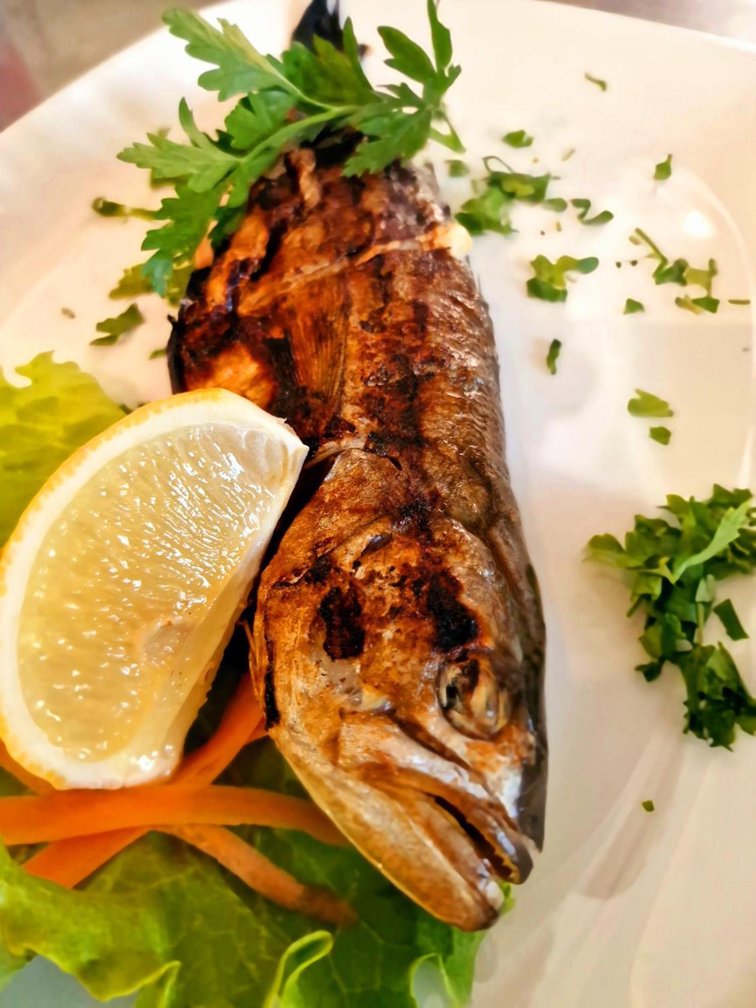 Family Hotel Four Seasons צרבו מראה חיצוני תמונה